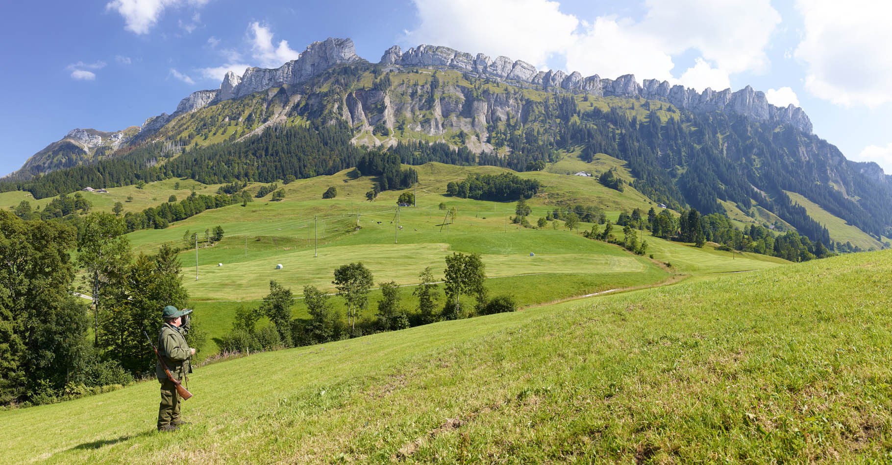 banner_image_1