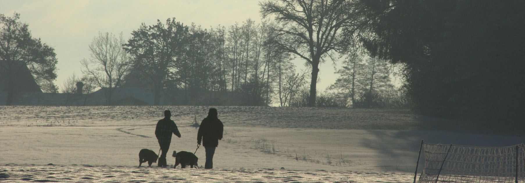 RevierJagd Luzern Jaghund winter