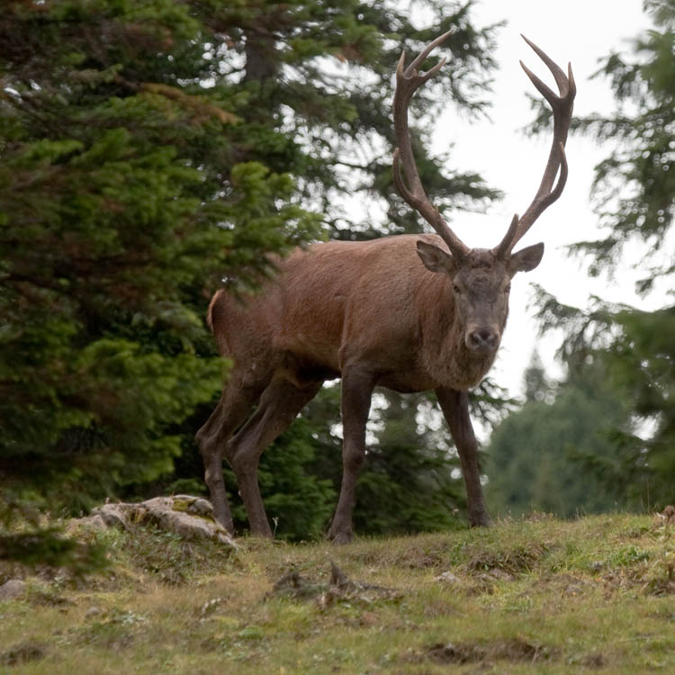 Sektionskurs Entlebuch 2025