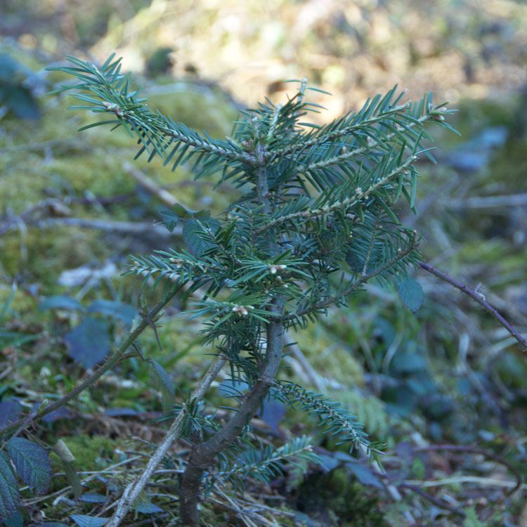 Rückblick Obmänner- und Jagdleitertagungen 2022