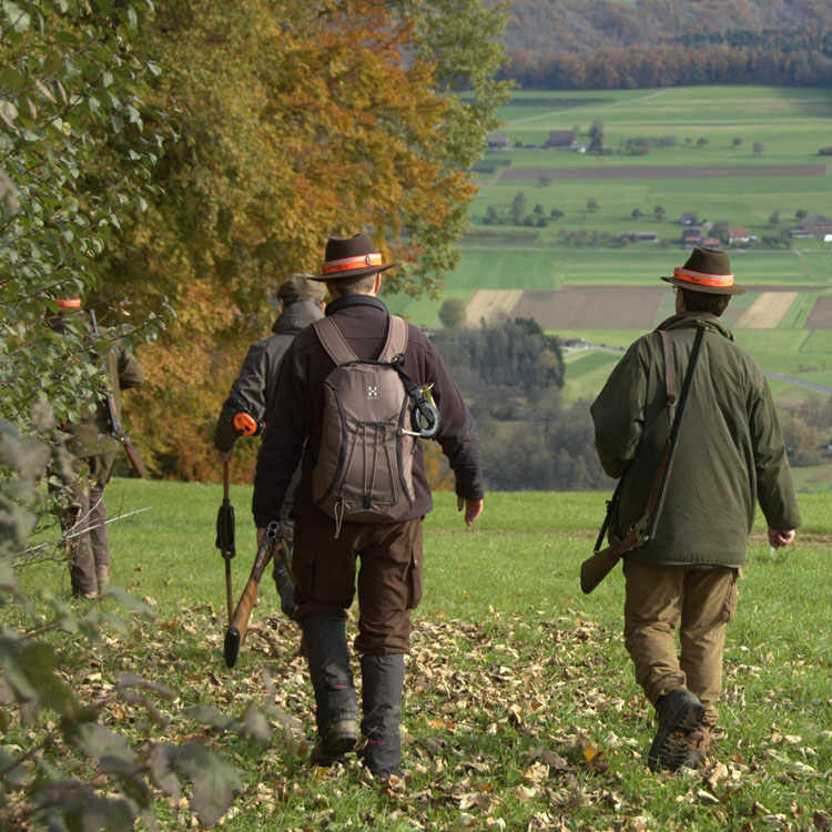 Corona und Herbstjagd 2021