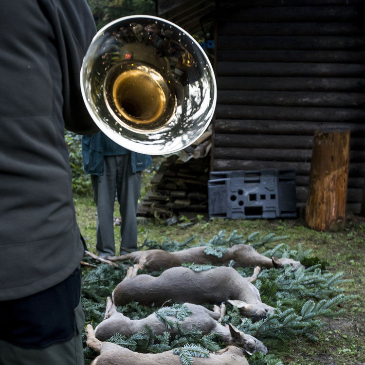 Der Ursprungsschein und die Marke