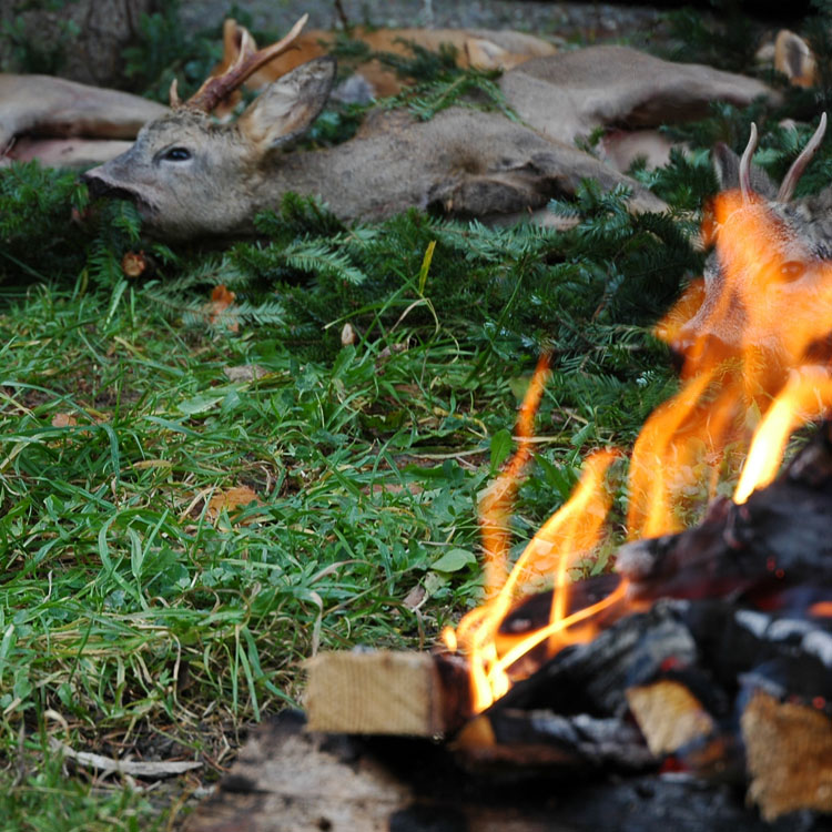 Rehwild-Zerwirkkurs in der Landmetzg Rottal