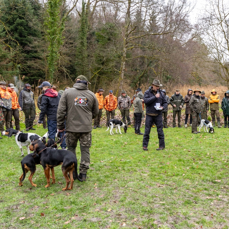 Vorstellung Jagdhunde