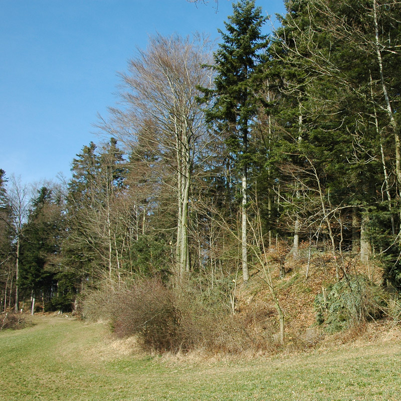 Feuerverbot im Wald und in Waldesnähe