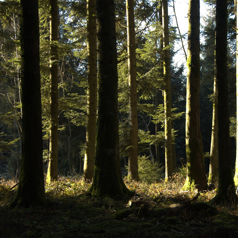 Nachfolge Präsidium Revierjagd Luzern RJL