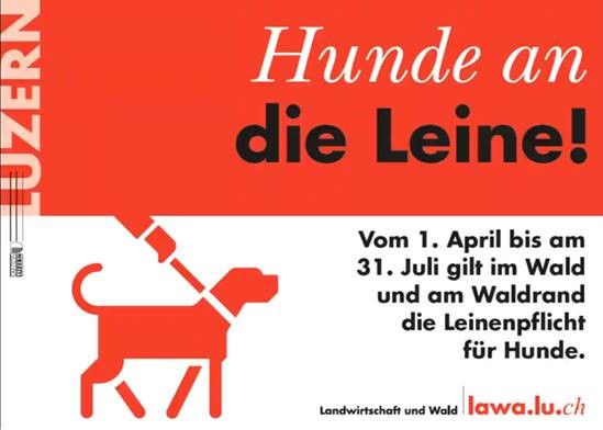 Hunde-Leinenpflicht