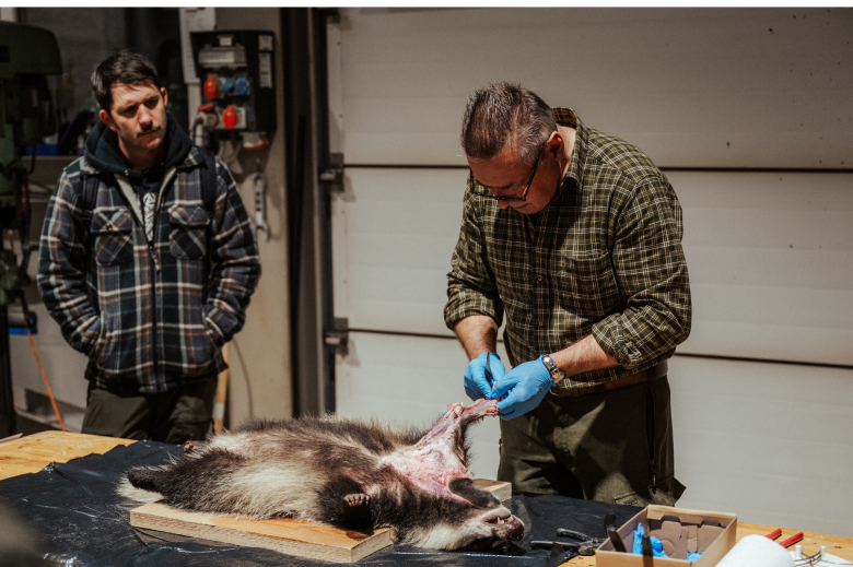 Kurs Raubwild nachhaltig und ethisch nutzen 2021